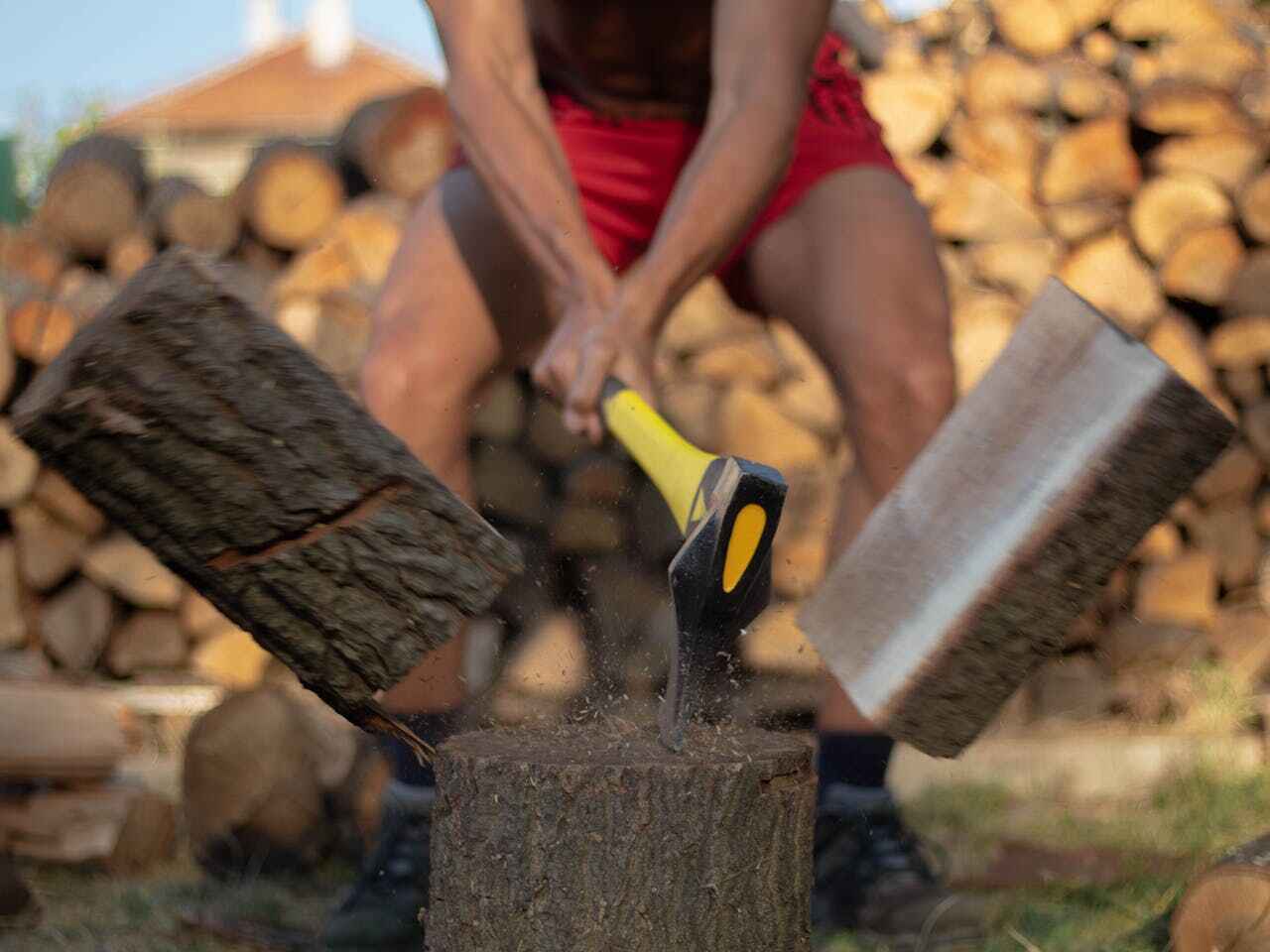 Best Palm Tree Trimming  in Charleston, MO